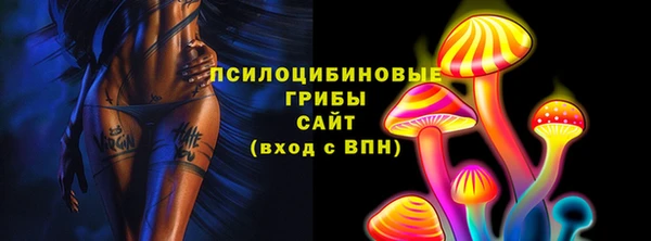 прущие грибы Армянск
