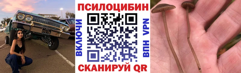 Купить  Бузулук  Псилоцибиновые грибы прущие грибы 